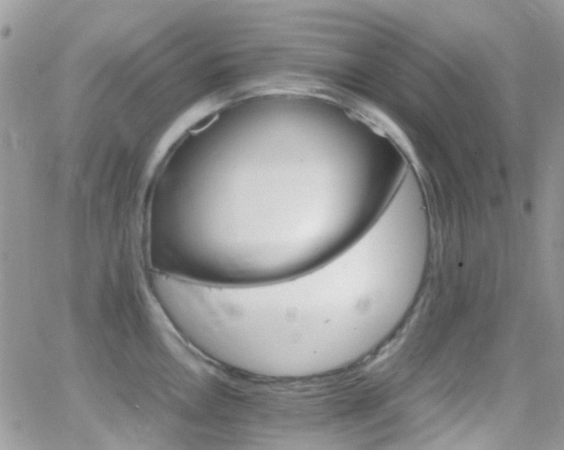 X0000066541146200603171234