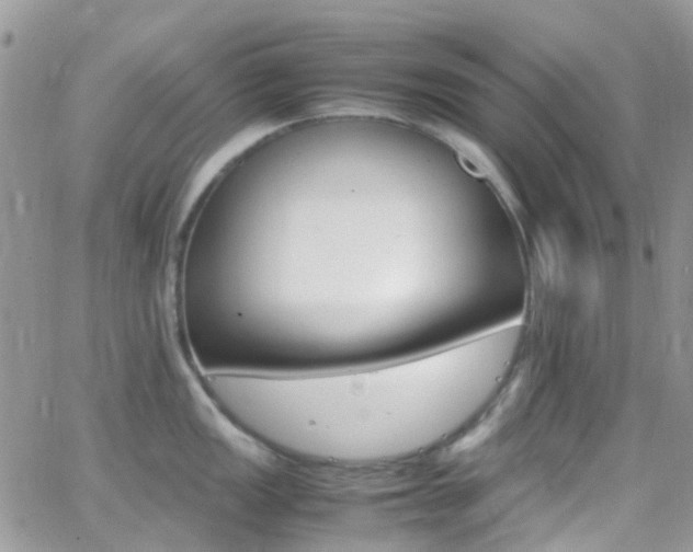 X0000066541149200603171234