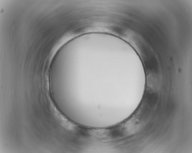 X0000066541150200603171234