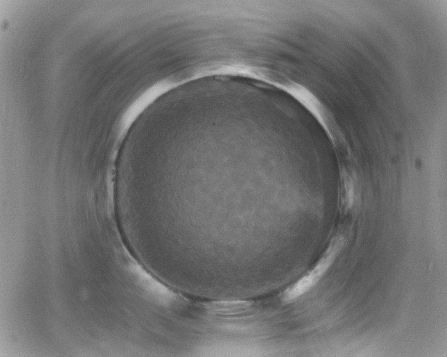 X0000066541151200603171234