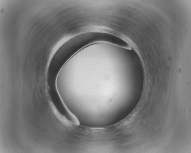 X0000066541152200603171234