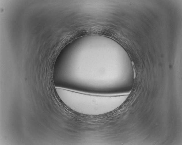 X0000066541153200603171233