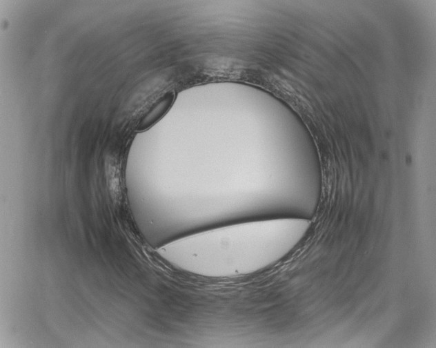 X0000066541154200603171233