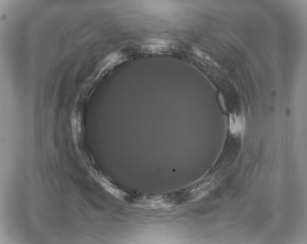 X0000066541155200603171233