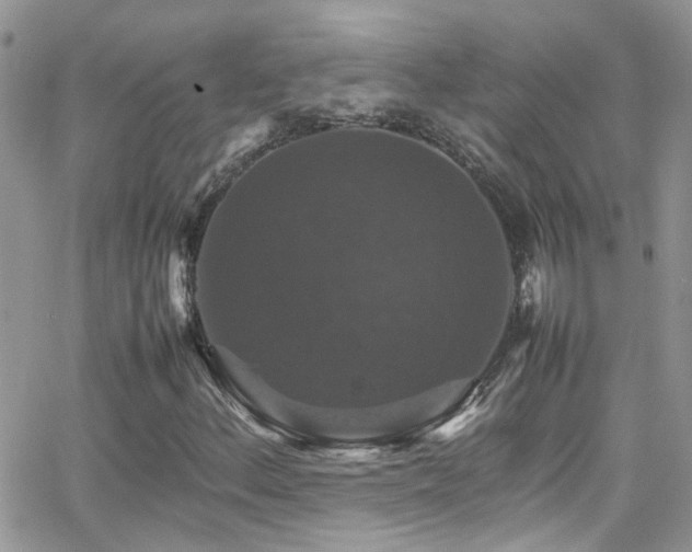 X0000066541156200603171233