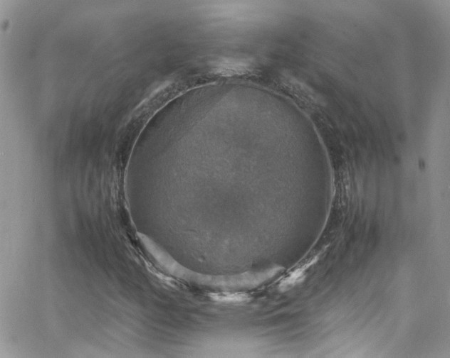 X0000066541158200603171233