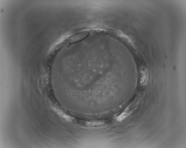 X0000066541159200603171233