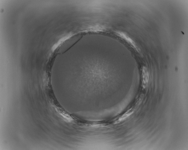 X0000066541160200603171233