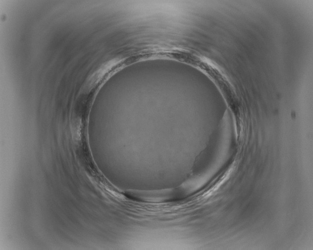 X0000066541161200603171233