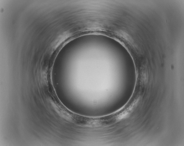 X0000066541162200603171233