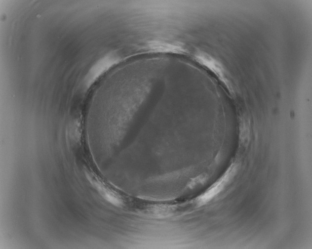 X0000066541163200603171233