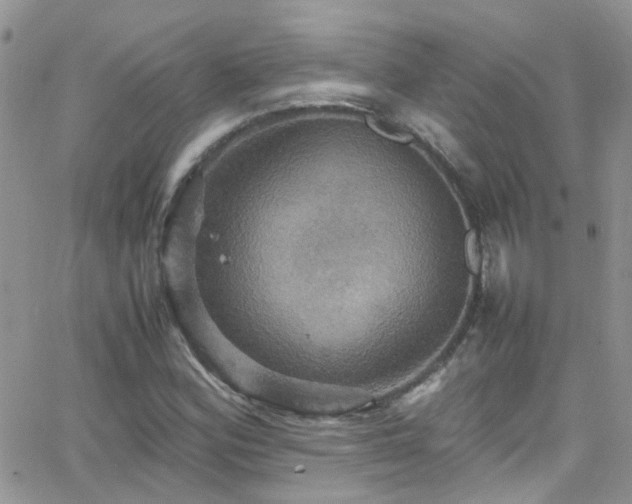 X0000066541164200603171233