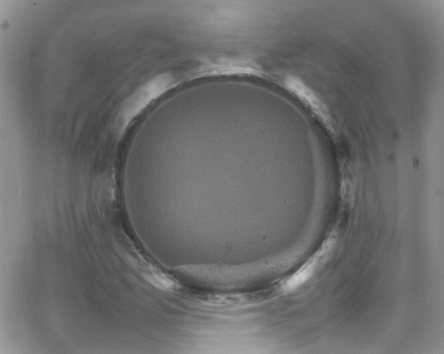 X0000066541165200603171233