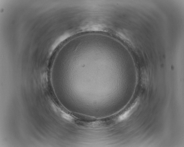 X0000066541166200603171233