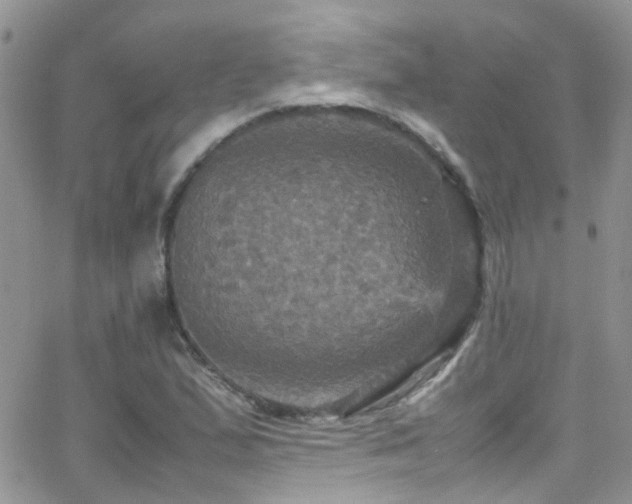 X0000066541167200603171233