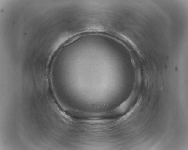 X0000066541168200603171233