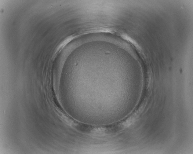 X0000066541169200603171233