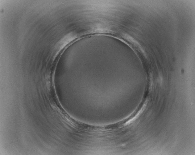 X0000066541170200603171233