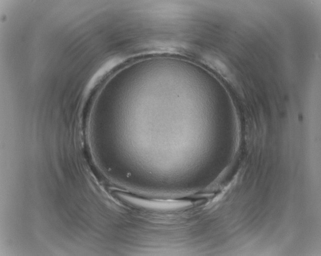 X0000066541172200603171233