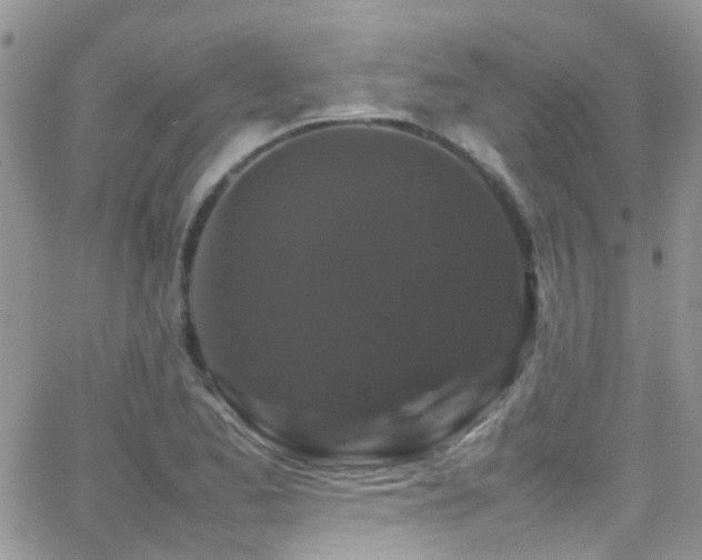 X0000066541173200603171233