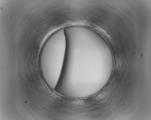 X0000066541174200603171233