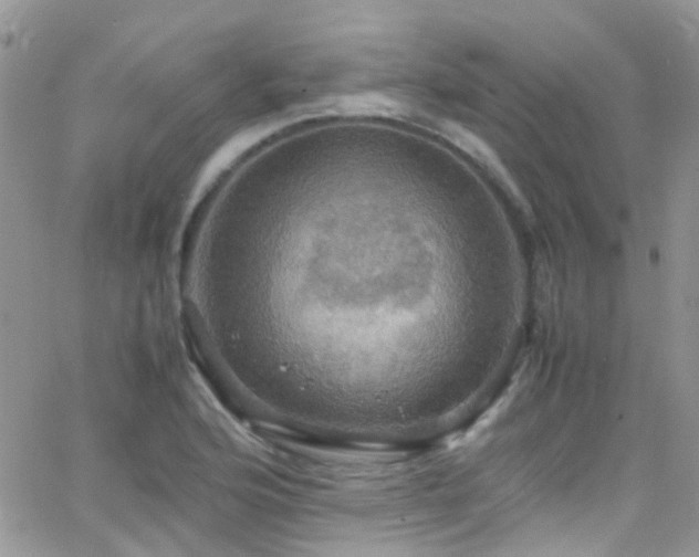 X0000066541176200603171233