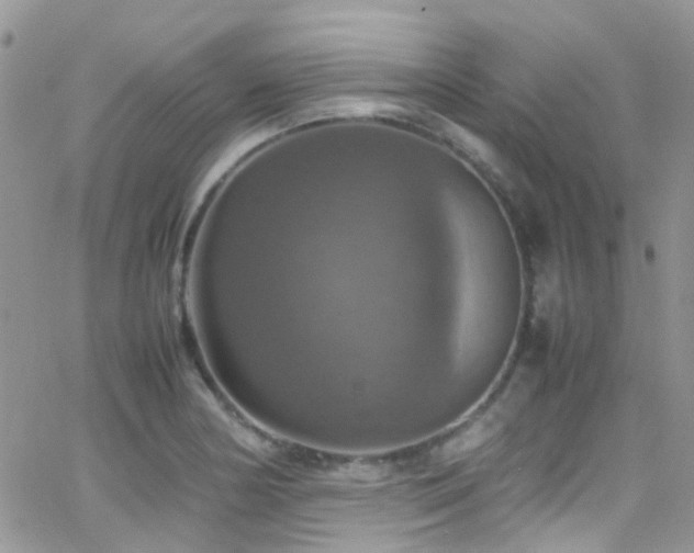 X0000066541178200603171233