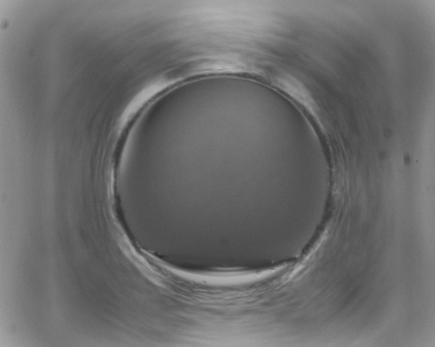 X0000066541179200603171233