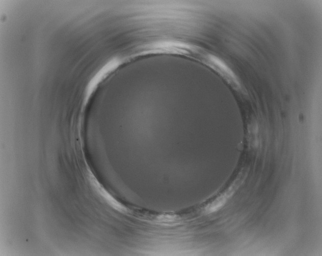 X0000066541180200603171233