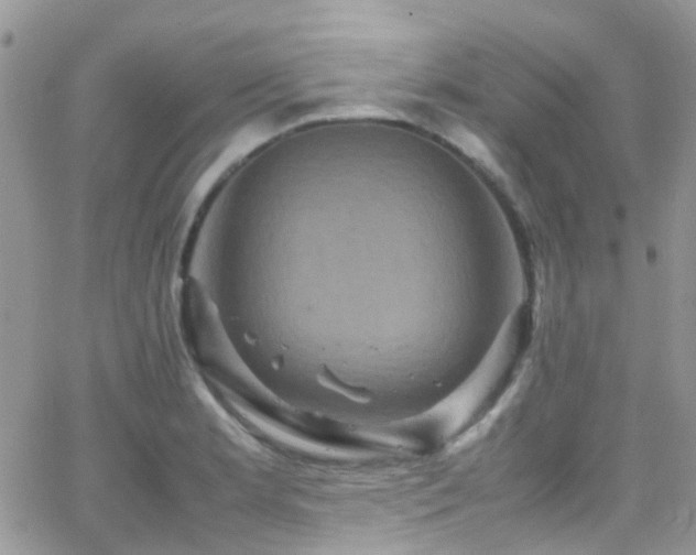 X0000066541181200603171233