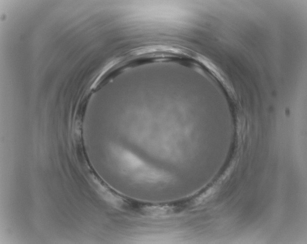 X0000066541185200603171233