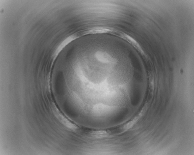 X0000066541186200603171233