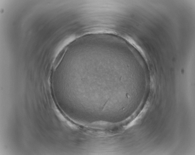 X0000066541189200603171233