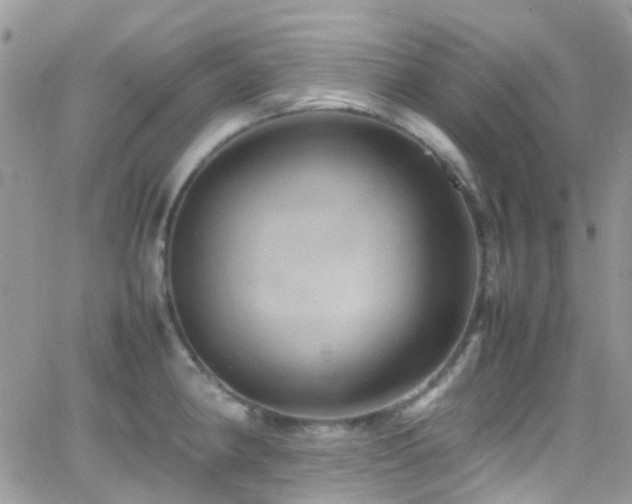 X0000066541190200603171233