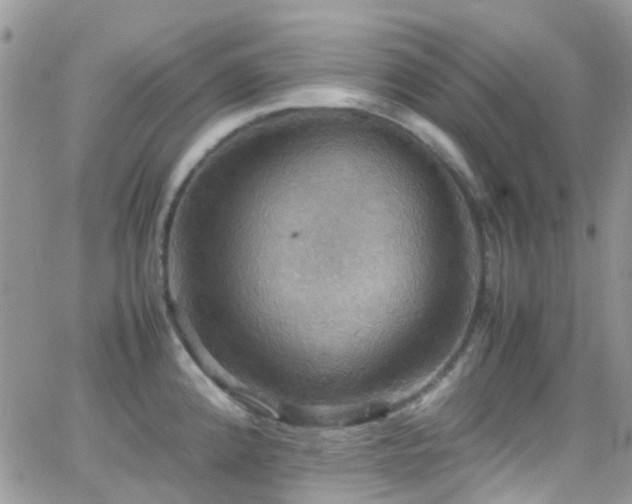 X0000066541192200603171233