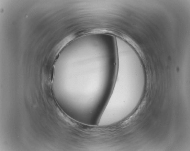 X0000066541193200603171233