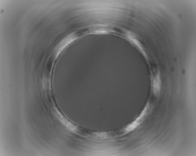 X0000066541194200603171233