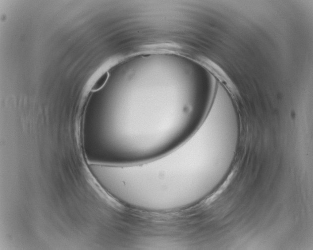 X0000066541196200603171233