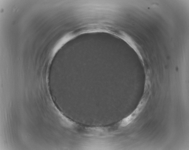 X0000066541197200603171233