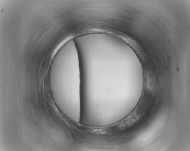 X0000066541198200603171233