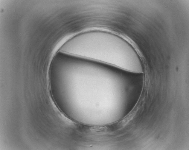 X0000066541199200603171233