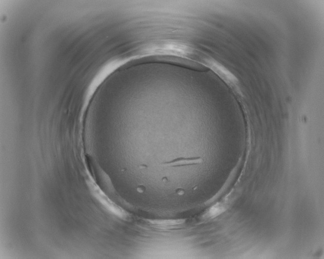 X0000066541200200603171233