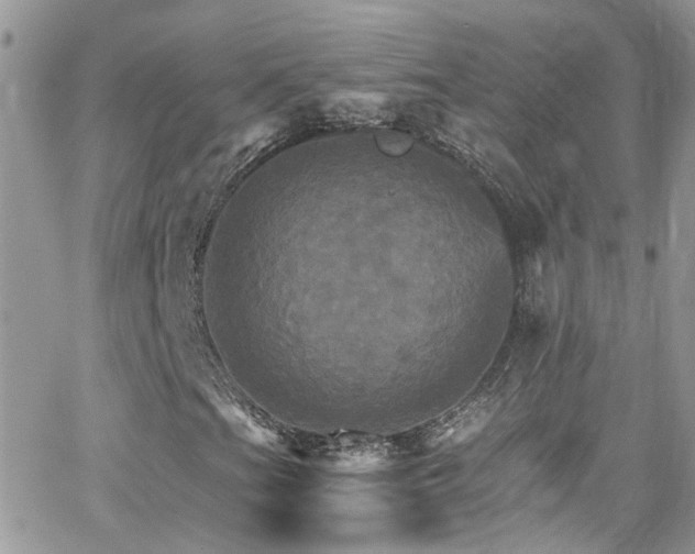 X0000066541201200603171232