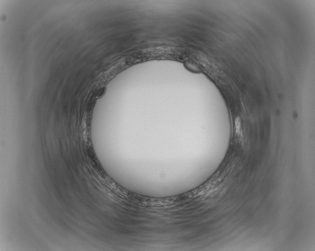 X0000066541203200603171232