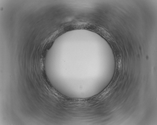 X0000066541204200603171232