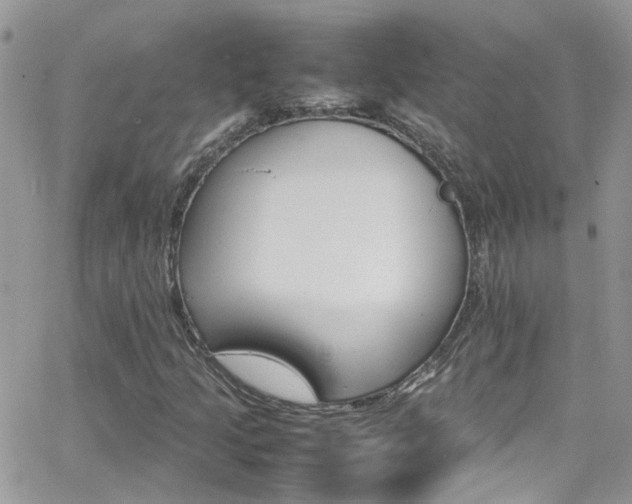 X0000066541205200603171232