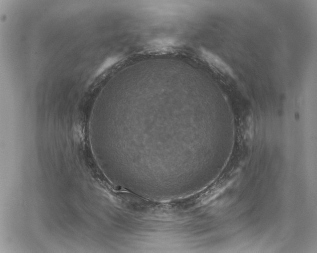 X0000066541206200603171232