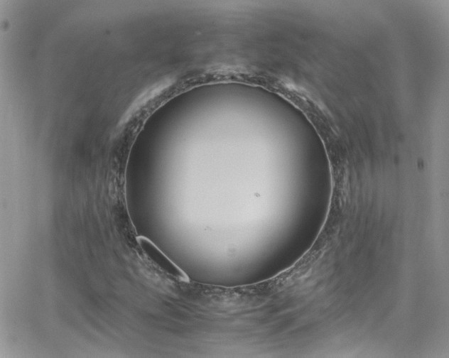 X0000066541207200603171232