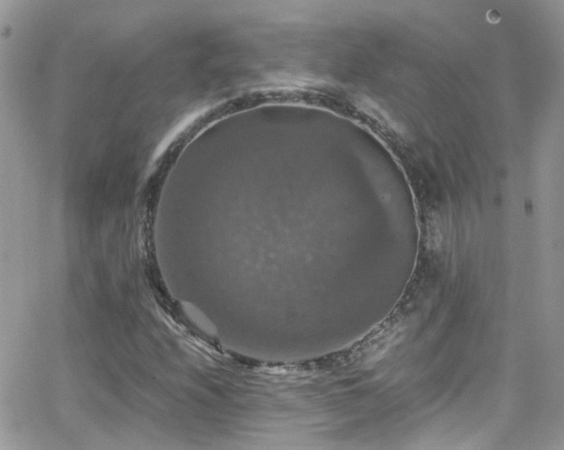 X0000066541208200603171232