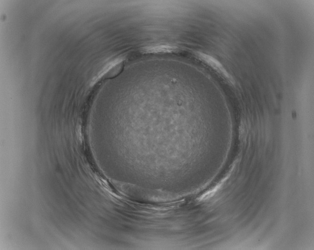 X0000066541209200603171232